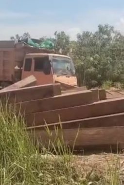 Jejak Kayu Diduga Hasil Illegal Logging Kalteng Mengarah ke Bansaw Liang Anggang, Aparat Diminta Bongkar Jalurnya